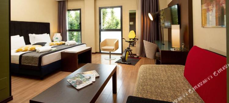 都灵科索弗朗西亚假日酒店(Holiday Inn Turin - Corso Francia)图片