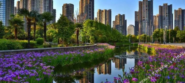 南苑E家Plus酒店(宁波北仑银泰城新大路店)图片