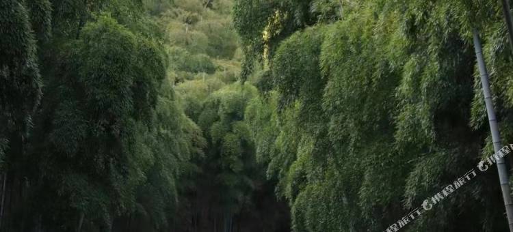 彭州无所事事民宿图片