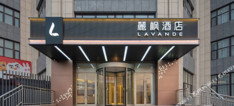 麗枫酒店(潍坊高新金马路店)图片