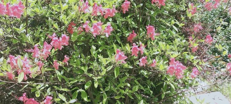 旮露湾民宿图片