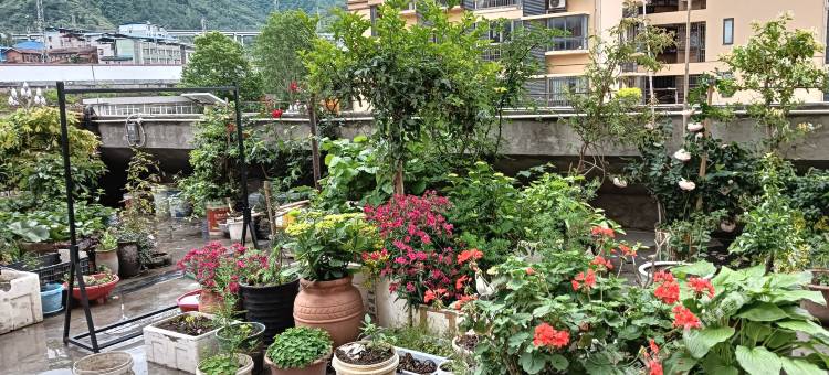 万源市钟意宾馆图片