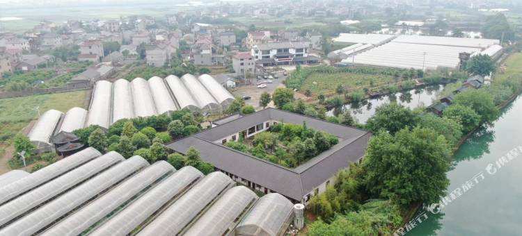 衢州古枫休闲农庄图片