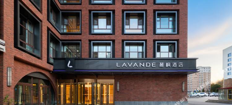 麗枫酒店(阿勒泰五百里风情街店)图片