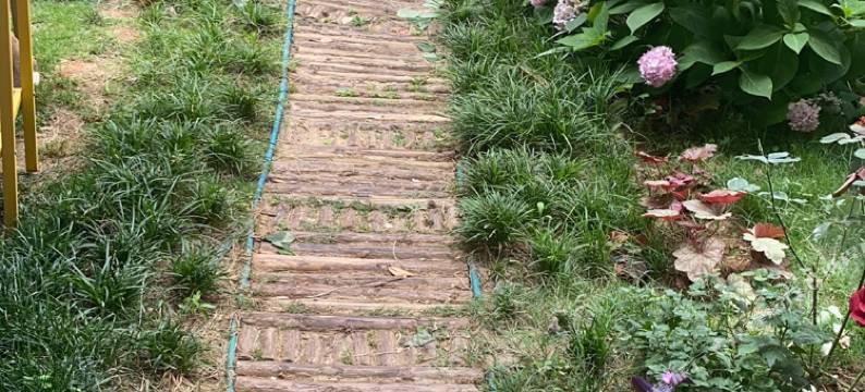 武汉黄龙山青年旅社图片