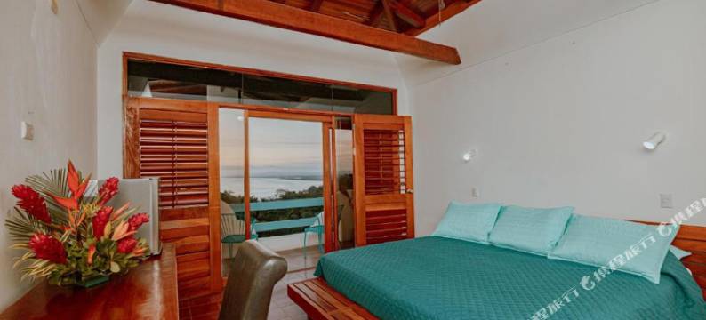 Planeta Sano酒店(Planeta Sano Hotel)图片