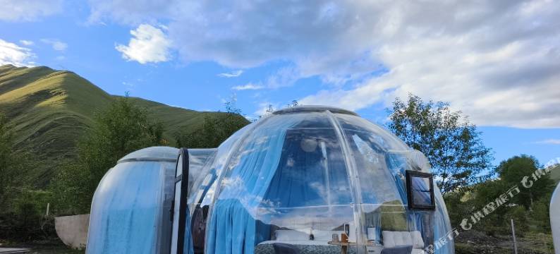 鱼子西雅诺星宿图片