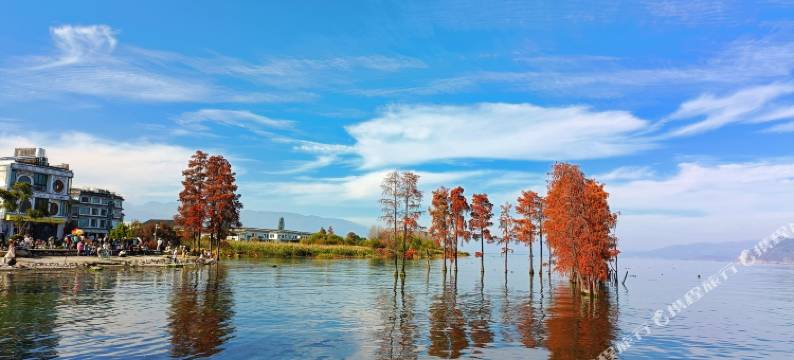 大理婉居客栈(龙龛码头店)图片