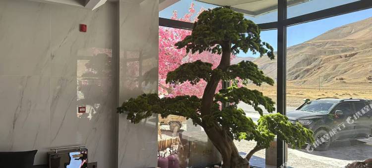 欧冠恒氧酒店(珠峰大本营店)图片