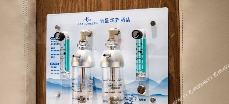 大柴旦丽呈华廷酒店(翡翠步行街店)图片