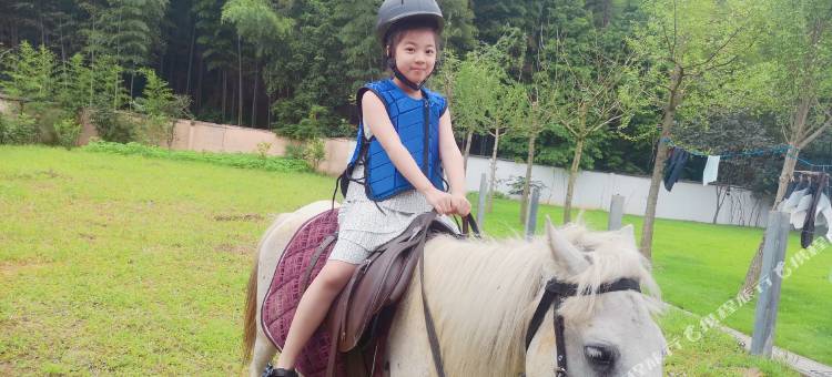 天一色·长兴竹海景观轻奢度假民宿图片