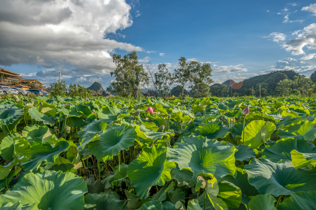 Happy Time Inn PuzheheiOver view