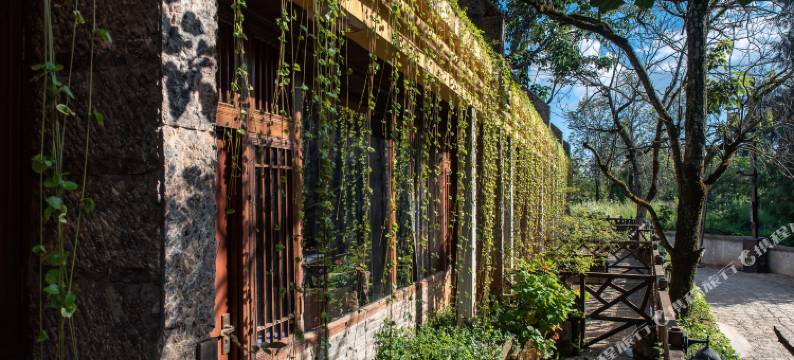 丽江古陌庭院客栈(束河古镇店)图片