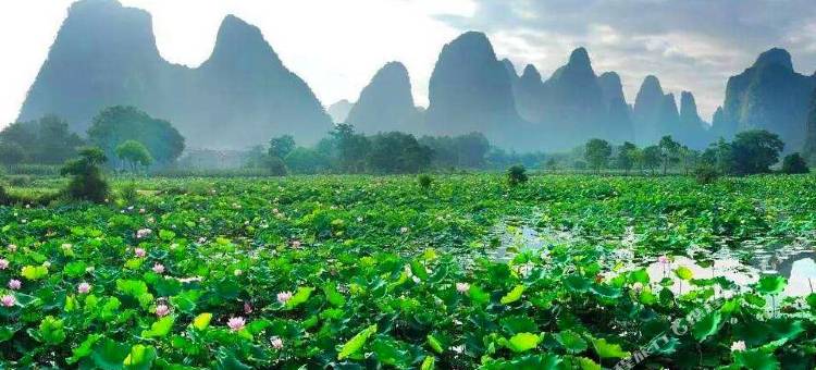 钟山大众宾馆图片