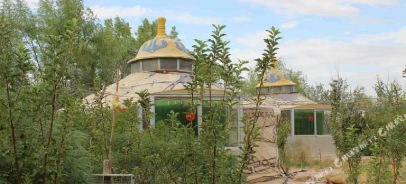 额济纳旗阳光客栈图片