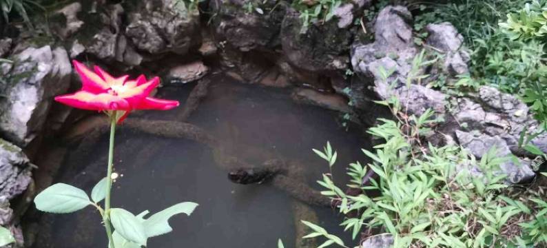 荔波古镇1号客栈图片