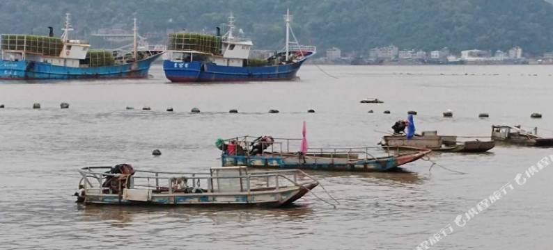 霞浦北岐摄影民宿图片