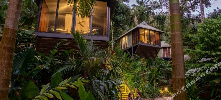戴因树雨林生态旅馆(Daintree Eco Lodge)图片