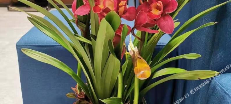 思薇尔酒店(无锡堰桥地铁站惠山万达广场店)图片