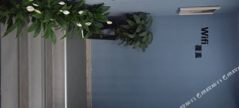 焦作紫罗兰酒店图片