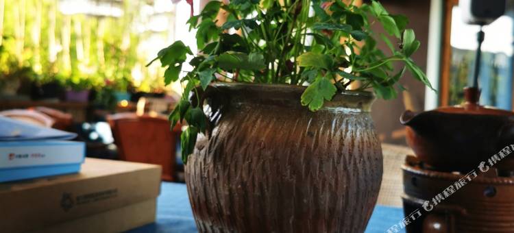 湖州素写艺术民宿图片