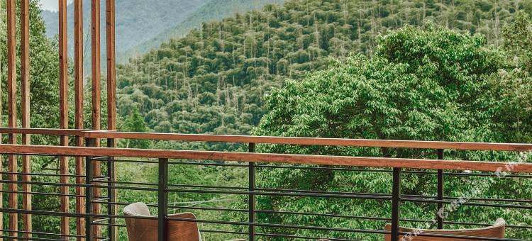 听涧·莫干山｜椿山集花园景观度假民宿图片