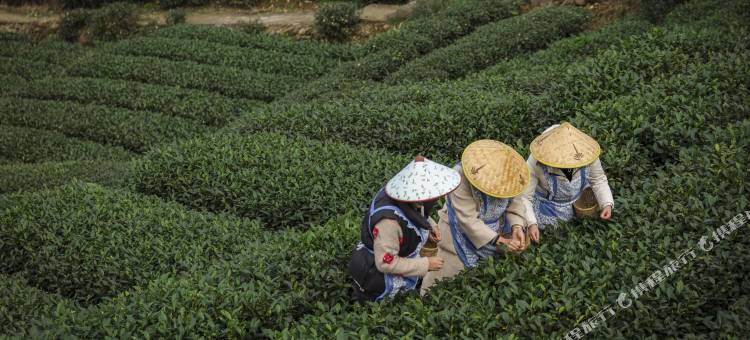 花筑·时间之外民宿(名山区店)图片