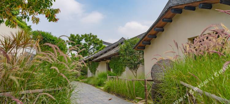 秋长谷里美愿村图片