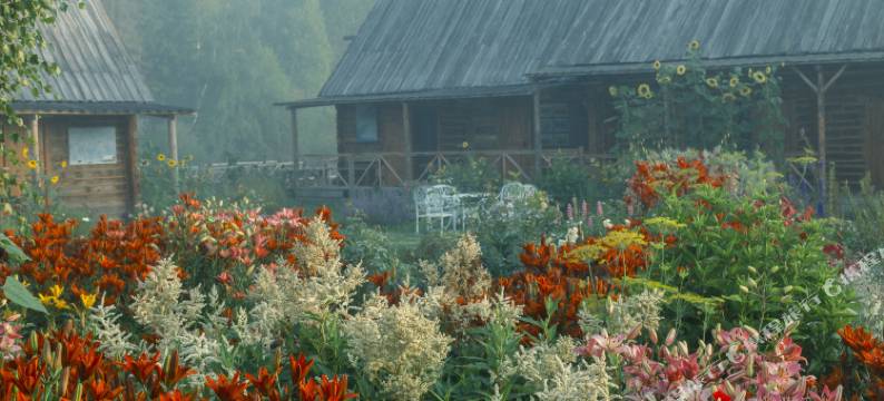 禾木时光里花园民宿图片