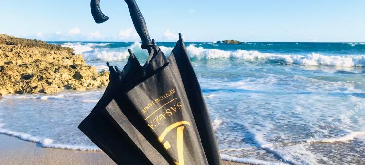 屏东莎莎的拉梦图片