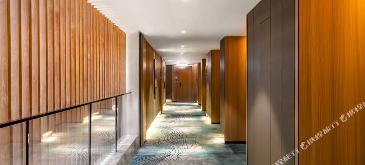 绵阳园艺山科创园火炬北路亚朵X酒店图片