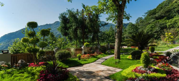 青城山.悟尘一宿森林温泉民宿(青城后山景区店)图片