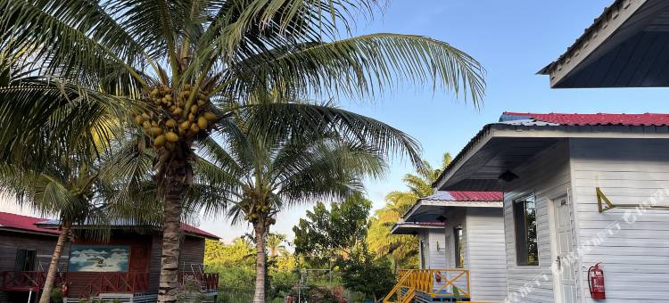 仙本那顺德人家度假村(华人管家/免费班车接驳码头&镇上)(Coconut Garden Resort)图片