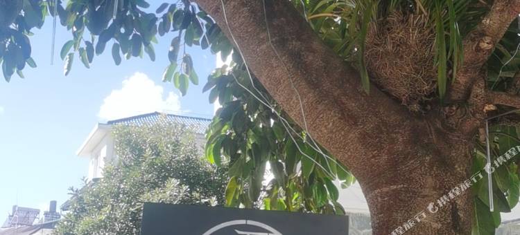 腾冲榕树下别墅花园客栈图片