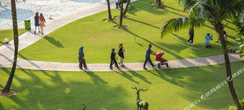 Seafront Country Garden Danga Bay by Lions Bay图片