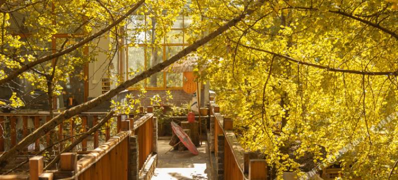 银杏村陈二客栈图片