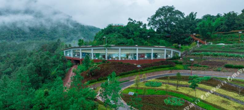 长臂猿精品酒店图片