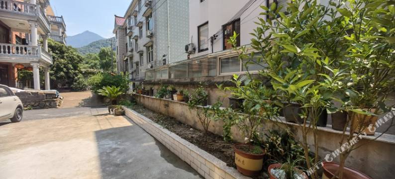 大奇山百合农家图片