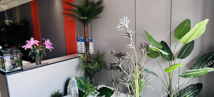 遇见影宿民宿(洛阳博物馆店)图片