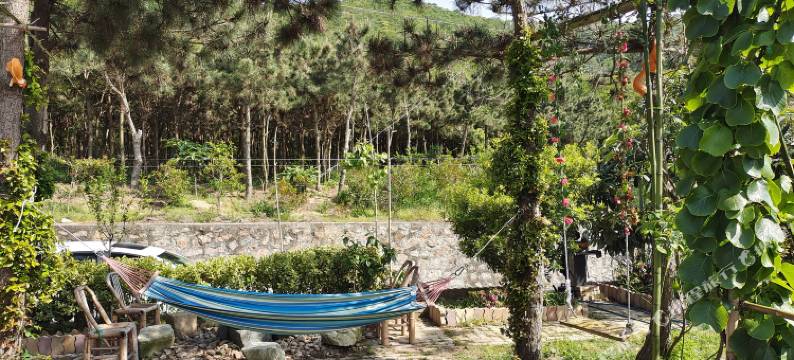 嵊泗小惠小庄图片