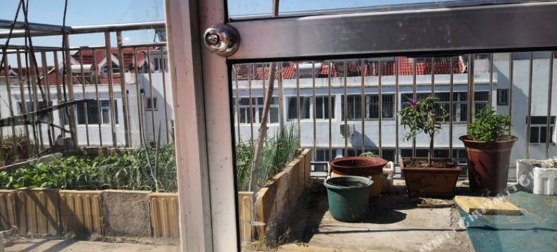 苏姨公寓(太公岛二路1号分店)图片