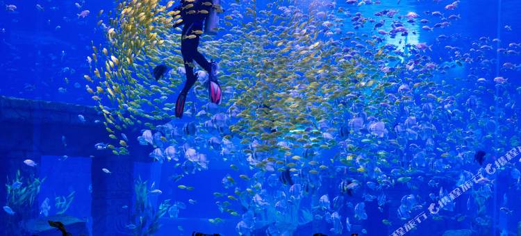 昆明滇池融创施柏阁酒店图片