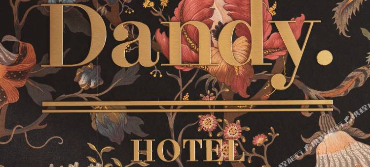 巴黎丹迪酒店(近蓬皮杜中心、Chatelet-les-Halles车站)(Dandy Hotel)图片