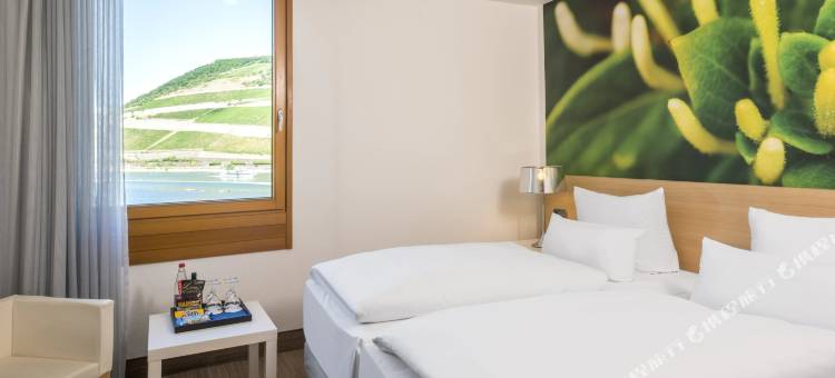 NH宾根酒店(NH Bingen)图片