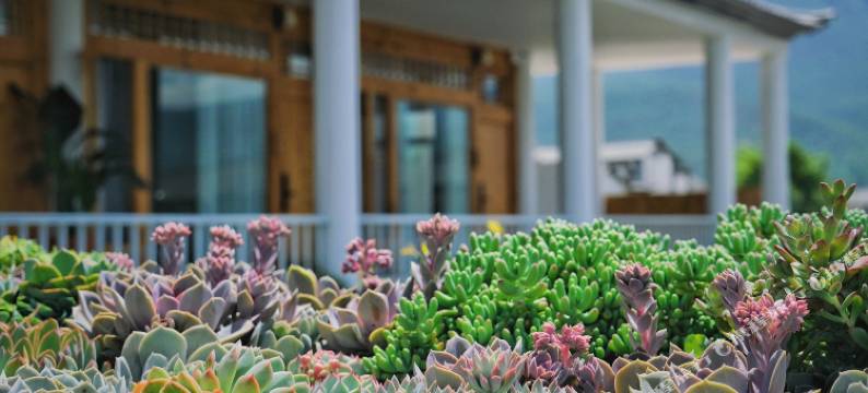 那一世民宿图片