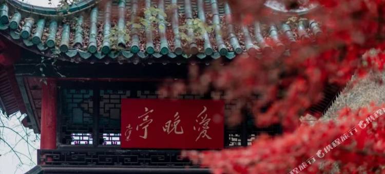 品缦酒店(长沙岳麓洋湖湿地公园地铁站店)图片