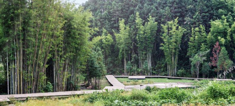 龙门晴溪民宿图片