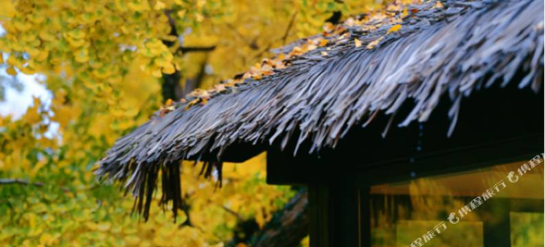 苏州瑞相院·银杏园林美墅(太湖东山店)图片