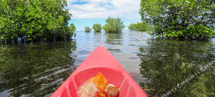 趣狮子 - 蒲甘(The Funny Lion - Puerto Princesa)图片