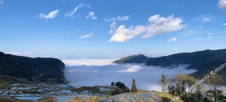 元阳向往民宿(梯田景区店)图片